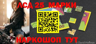 молекула духа Будённовск