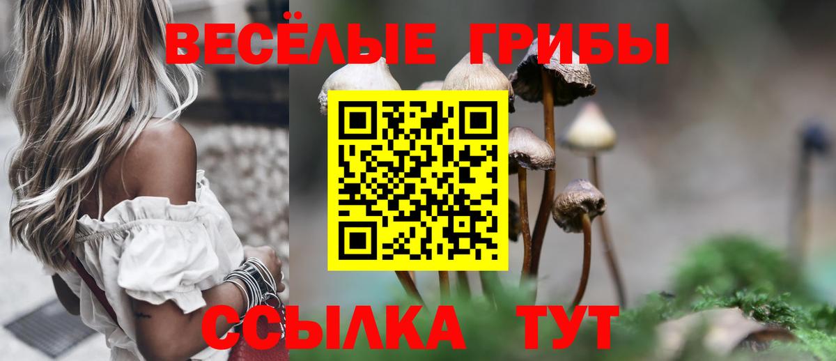 Галлюциногенные грибы GOLDEN TEACHER  Вход с VPN  Красноуфимск 